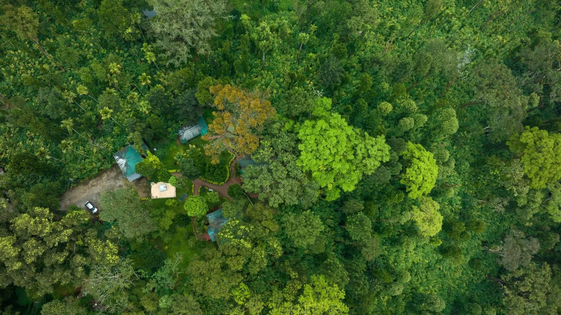 Blue Bells Resort By Maat Hotels Munnar